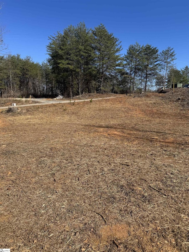 Listing photo 3 for LOT51 Sawblade Rdg, Marietta SC 29661