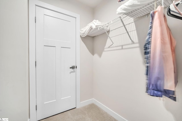 spacious closet with carpet flooring