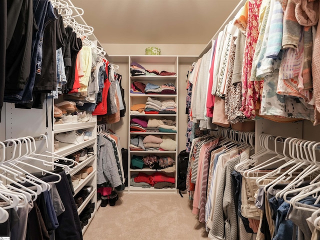 spacious closet featuring carpet flooring