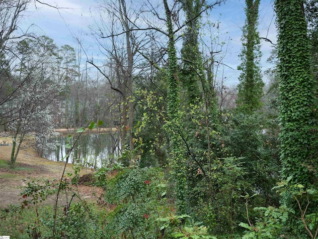 water view featuring a view of trees