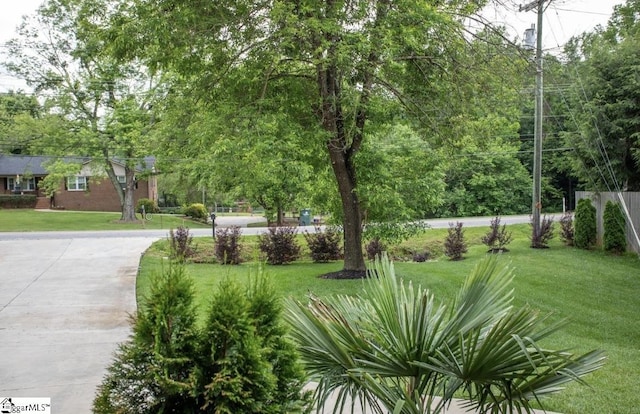 view of property's community featuring a lawn