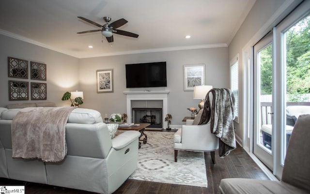 living room with ceiling fan, dark wood-type flooring, a fireplace, and crown molding