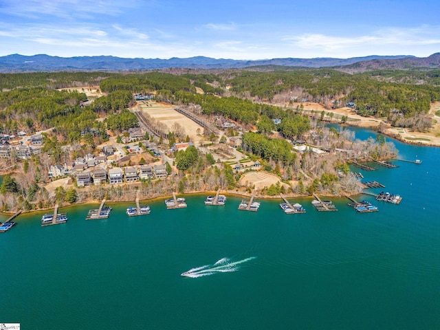 birds eye view of property featuring a water and mountain view