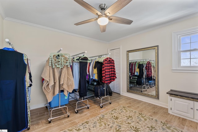 spacious closet with a ceiling fan and wood finish floors