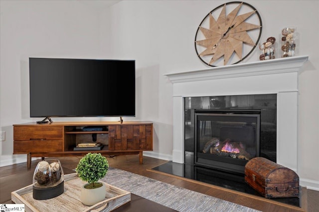 living area with baseboards and a glass covered fireplace