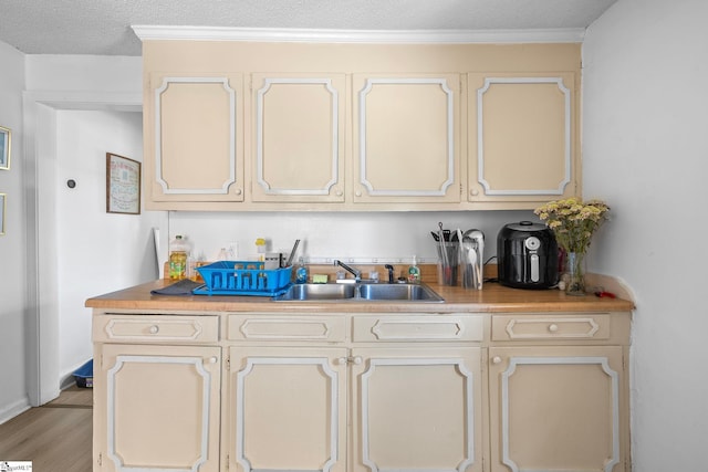 kitchen featuring light countertops, cream cabinetry, light wood-style floors, and a sink