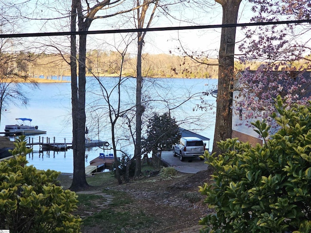 water view with a dock