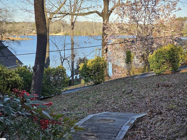 view of yard with a water view