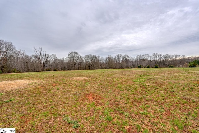 view of yard featuring a wooded view