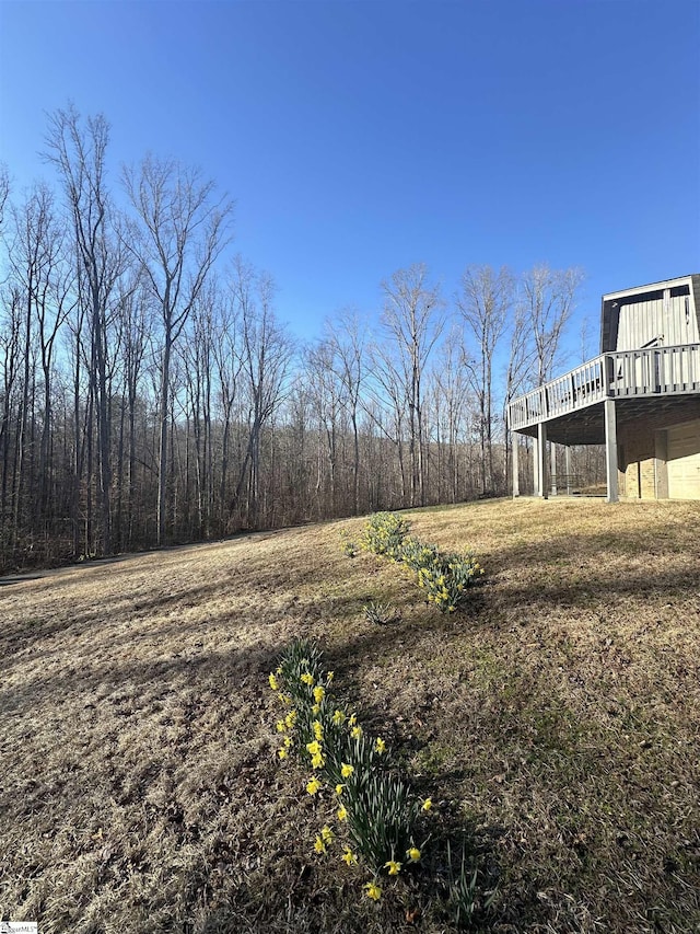 view of yard featuring a wooden deck