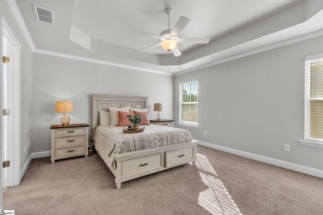 504 Reedy Springs Ln, Greenville, SC 29605 - bedroom featuring baseboards, visible vents, a raised ceiling, and light carpet