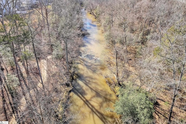 504 Reedy Springs Ln, Greenville, SC 29605 - aerial view with a forest view and a water view