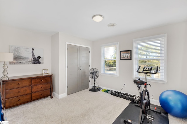 exercise room featuring baseboards and carpet floors