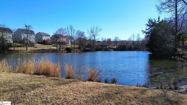 view of water feature