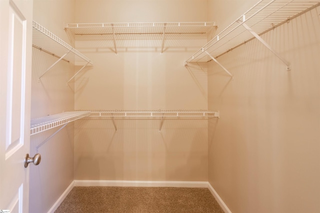 spacious closet with carpet