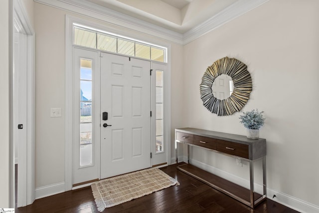 foyer with baseboards, a healthy amount of sunlight, and dark wood-style flooring