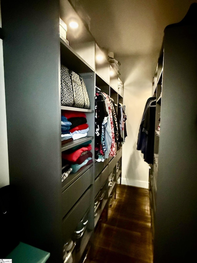 walk in closet with dark wood finished floors