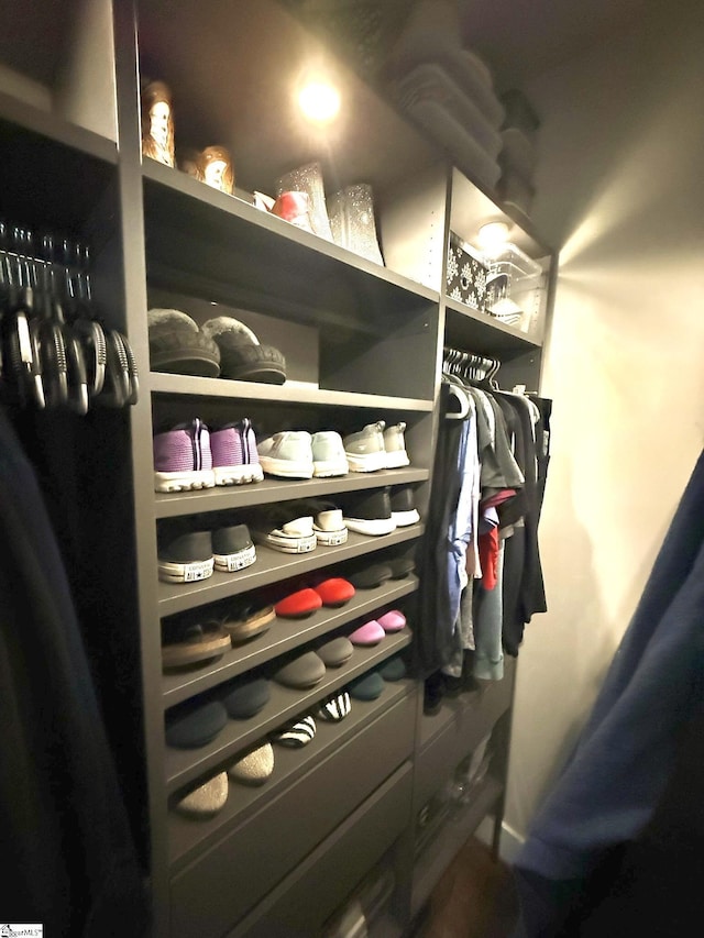 view of spacious closet