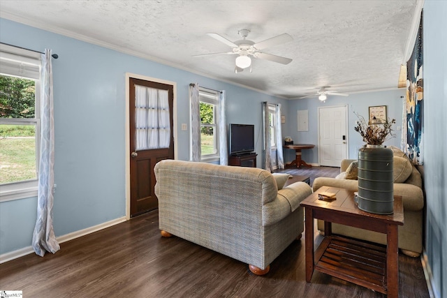 living area with dark wood-style floors, a textured ceiling, and ornamental molding