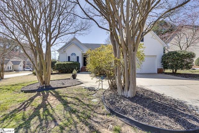 view of property hidden behind natural elements with concrete driveway and a front lawn