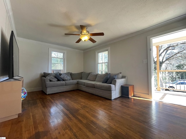 living area with dark wood-type flooring, ornamental molding, a ceiling fan, and a textured ceiling