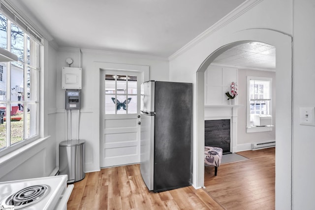 interior space featuring a baseboard radiator, light wood-style floors, and crown molding