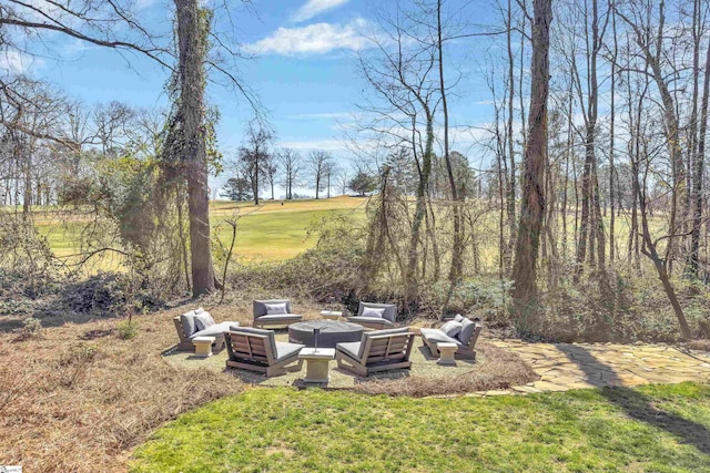 view of yard featuring a patio and an outdoor hangout area