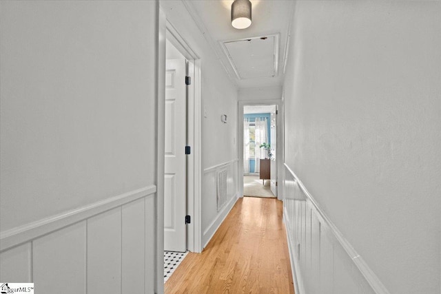 hall featuring visible vents, light wood-style flooring, wainscoting, a decorative wall, and attic access