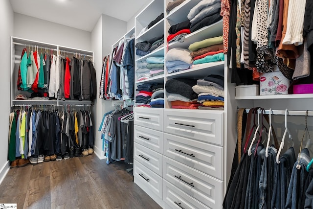 walk in closet featuring dark wood-style flooring