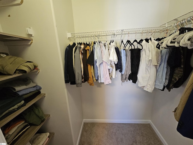 walk in closet with carpet floors