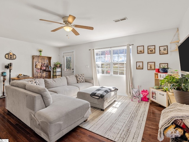 living room with visible vents, ceiling fan, and dark wood-style flooring