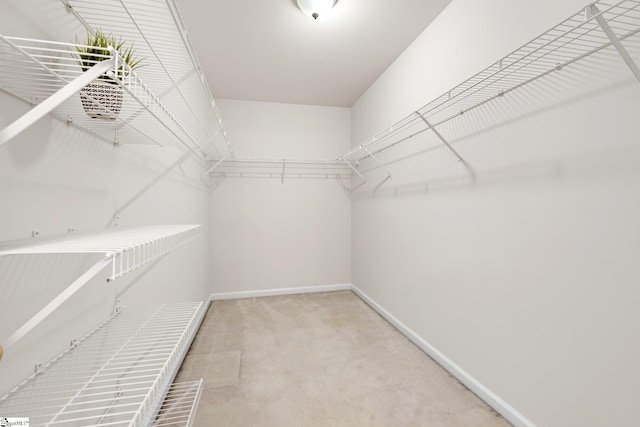 spacious closet with light colored carpet