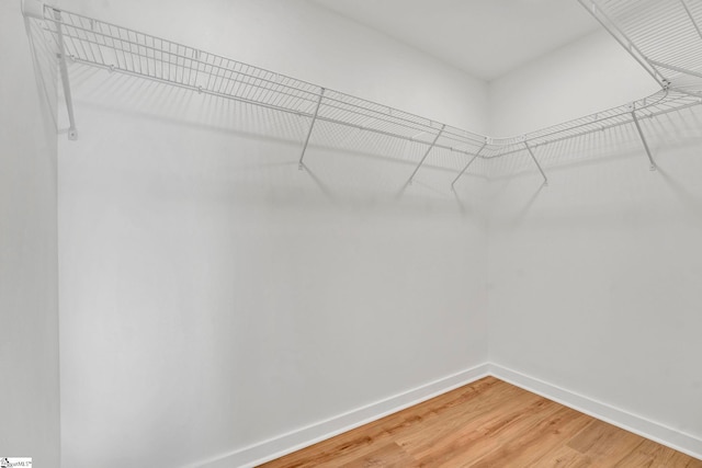 spacious closet with light wood-style floors