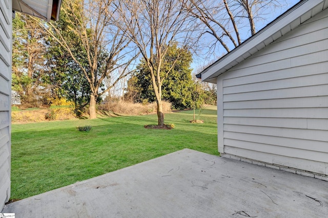 view of yard featuring a patio area