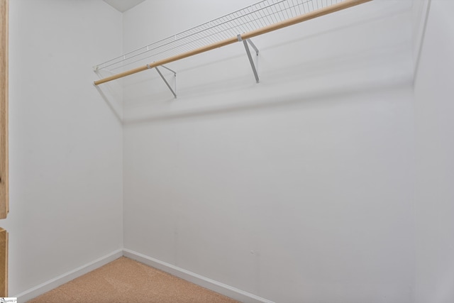 walk in closet featuring carpet floors