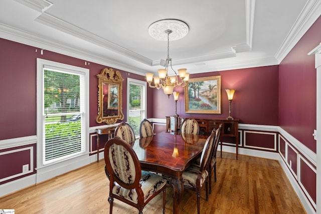 dining space featuring a tray ceiling, wood finished floors, and a wainscoted wall