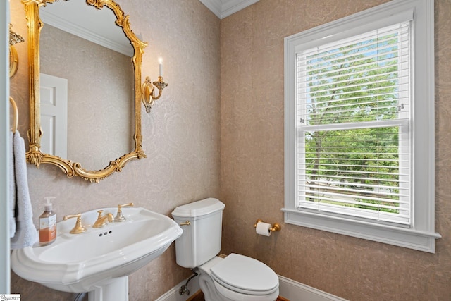 half bathroom with ornamental molding, toilet, and a sink