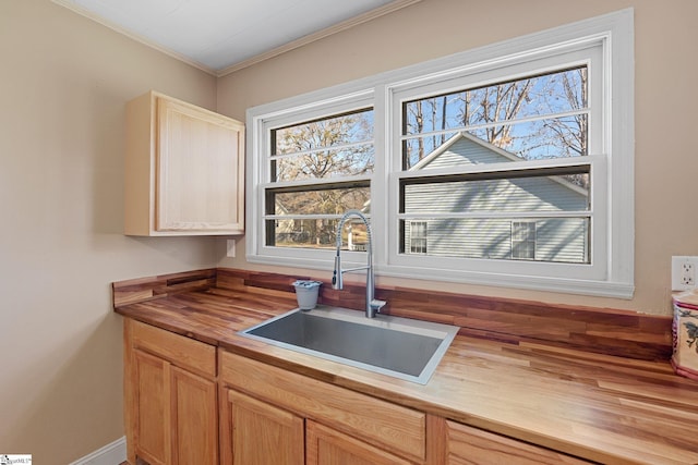 kitchen with a sink, plenty of natural light, and butcher block counters