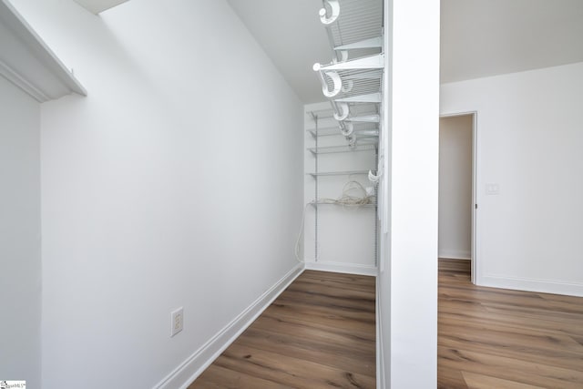 walk in closet with wood finished floors