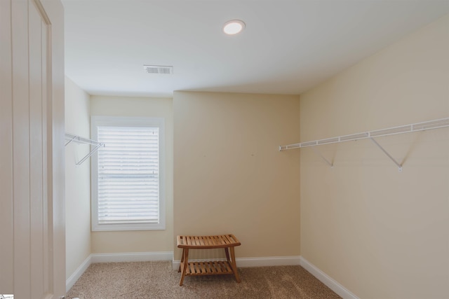 walk in closet featuring visible vents and carpet flooring