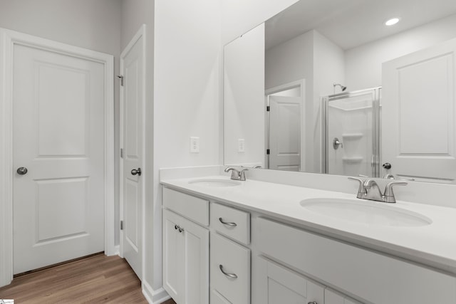 full bathroom featuring a sink, double vanity, wood finished floors, and a shower stall