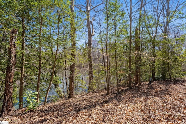 view of local wilderness featuring a wooded view