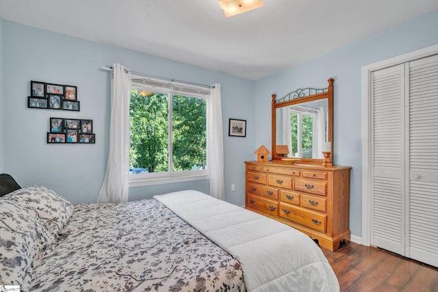 bedroom with a closet and dark wood-style flooring