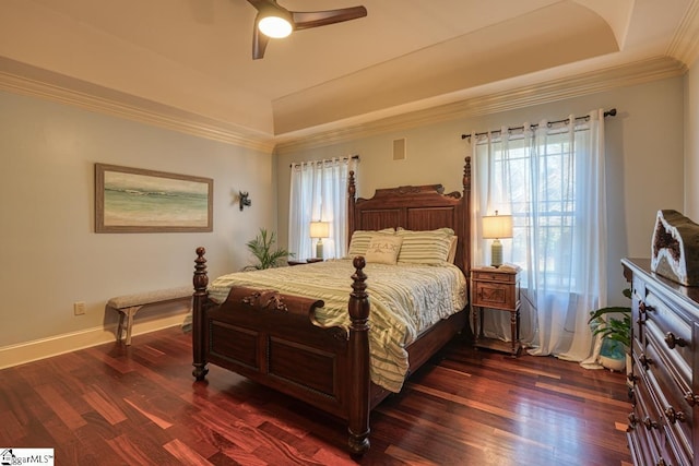 bedroom featuring dark wood-style floors, multiple windows, and a tray ceiling