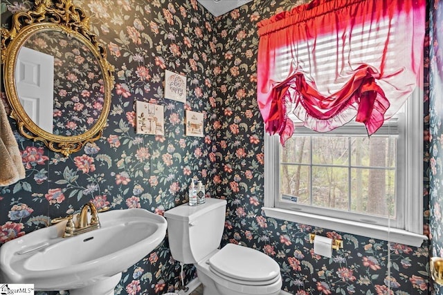 half bath with toilet, wallpapered walls, and a sink