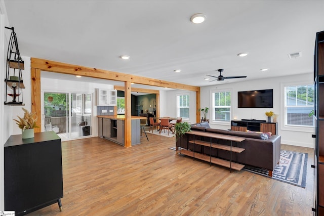 living room with ceiling fan, recessed lighting, visible vents, and light wood-type flooring