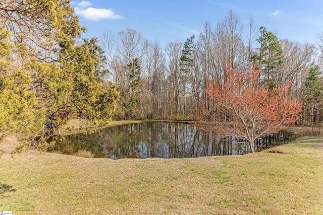 view of water feature with a wooded view