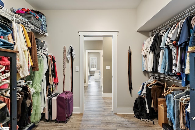 walk in closet featuring wood finished floors