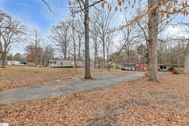 view of yard with driveway