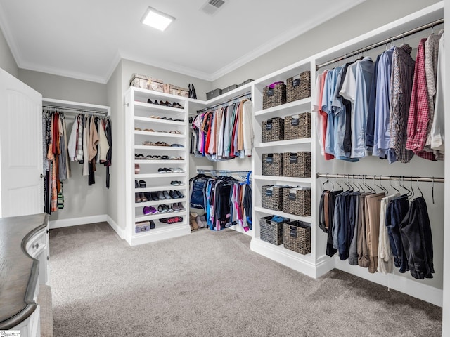 spacious closet with visible vents and carpet floors